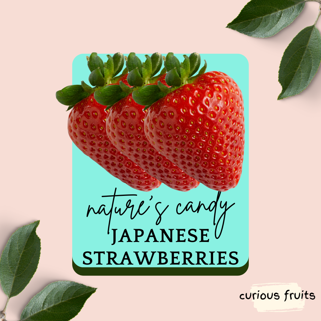 STRAWBERRY - Japanese Strawberry