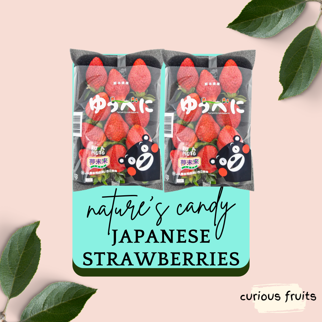 STRAWBERRY - Japanese Strawberry
