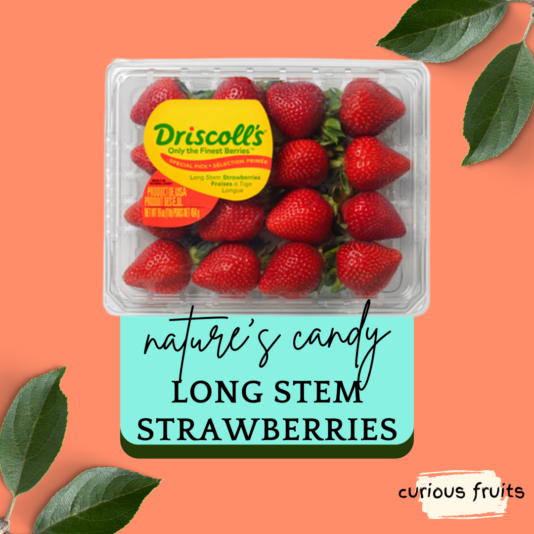 STRAWBERRY - Driscoll's Long Stem Red Strawberry