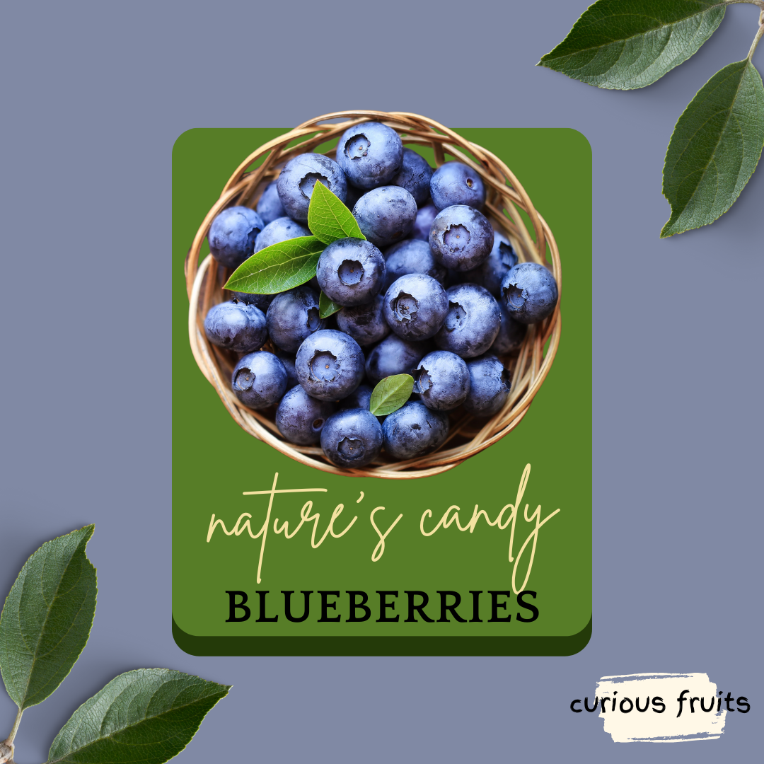 BERRY - Blueberries [1 Punnet - 125g]