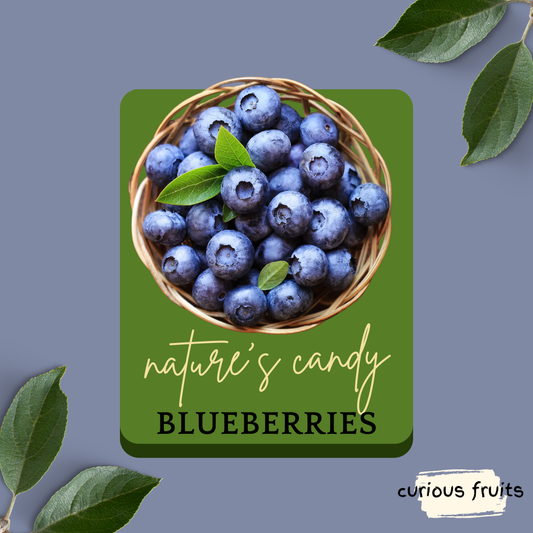 BERRY - Blueberries [1 Punnet - 125g]