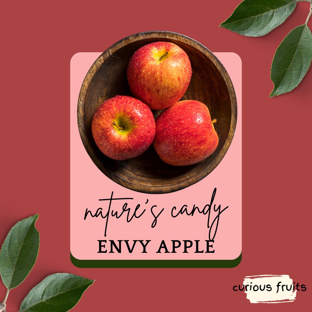 APPLE - ENVY Apple [New Zealand] [1 pack - 2 Piece]