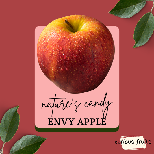APPLE - ENVY Apple [New Zealand] [1 pack - 2 Piece]