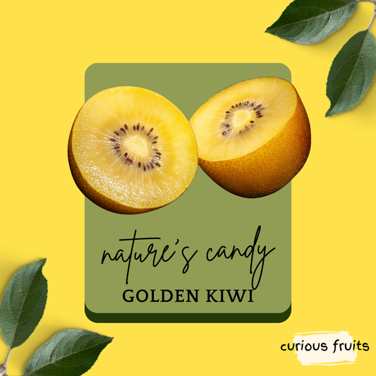 KIWI - Golden Kiwi [New Zealand] [L] [1 Packet - 4 Piece]