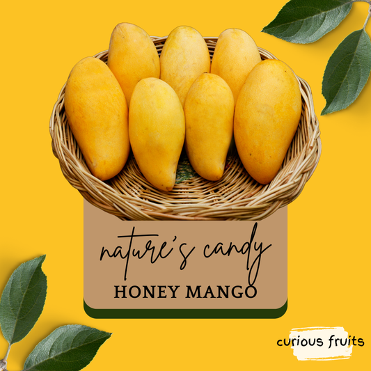 MANGO - Golden Mango [1 Pack - 2 Piece]