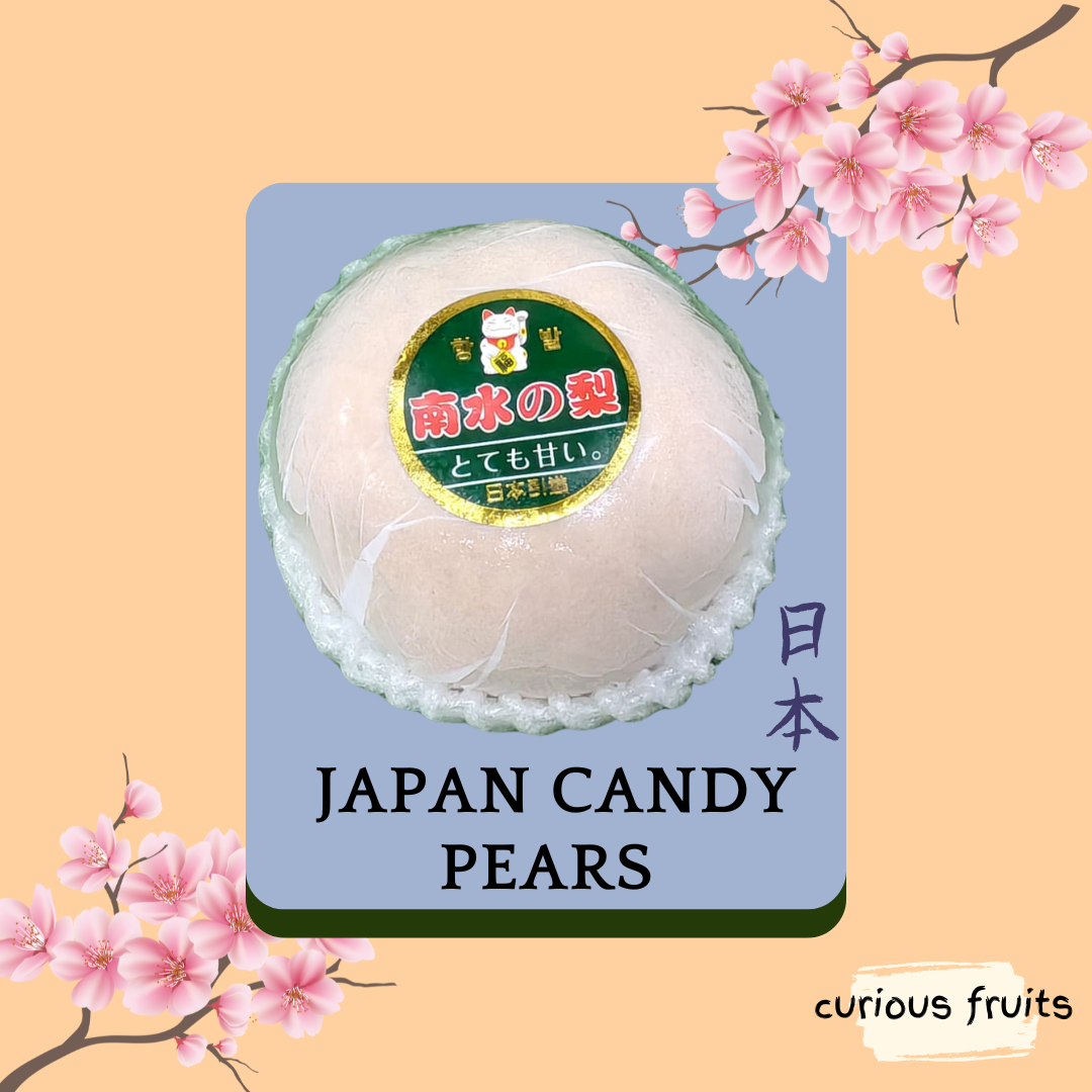 PEAR - Candy Pear [Japan]