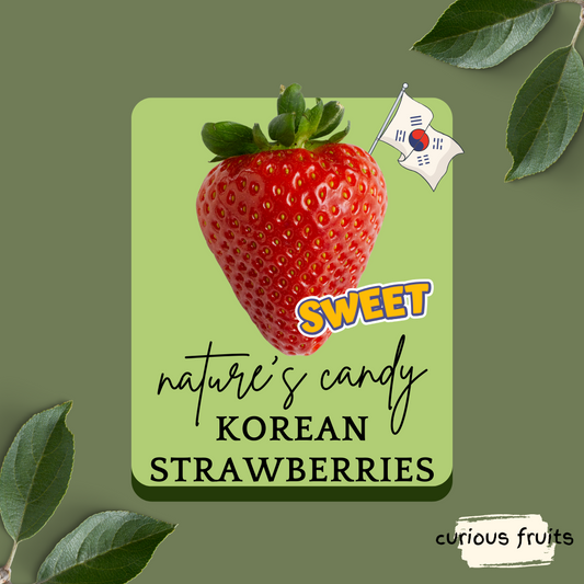 BERRY - Driscoll's Red Korean Strawberry [1 Punnet - 330g]
