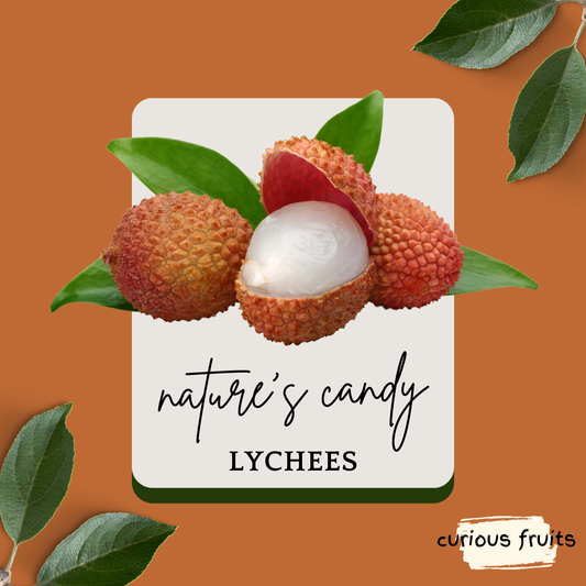 LYCHEE - Fresh Lychee [Australia] [500g]