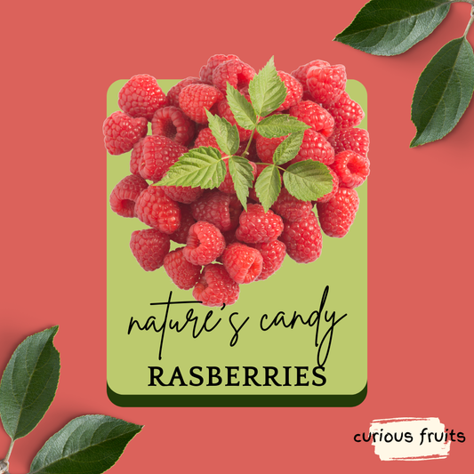 BERRY - Raspberry [Driscoll's] [1 Punnet - 125g]